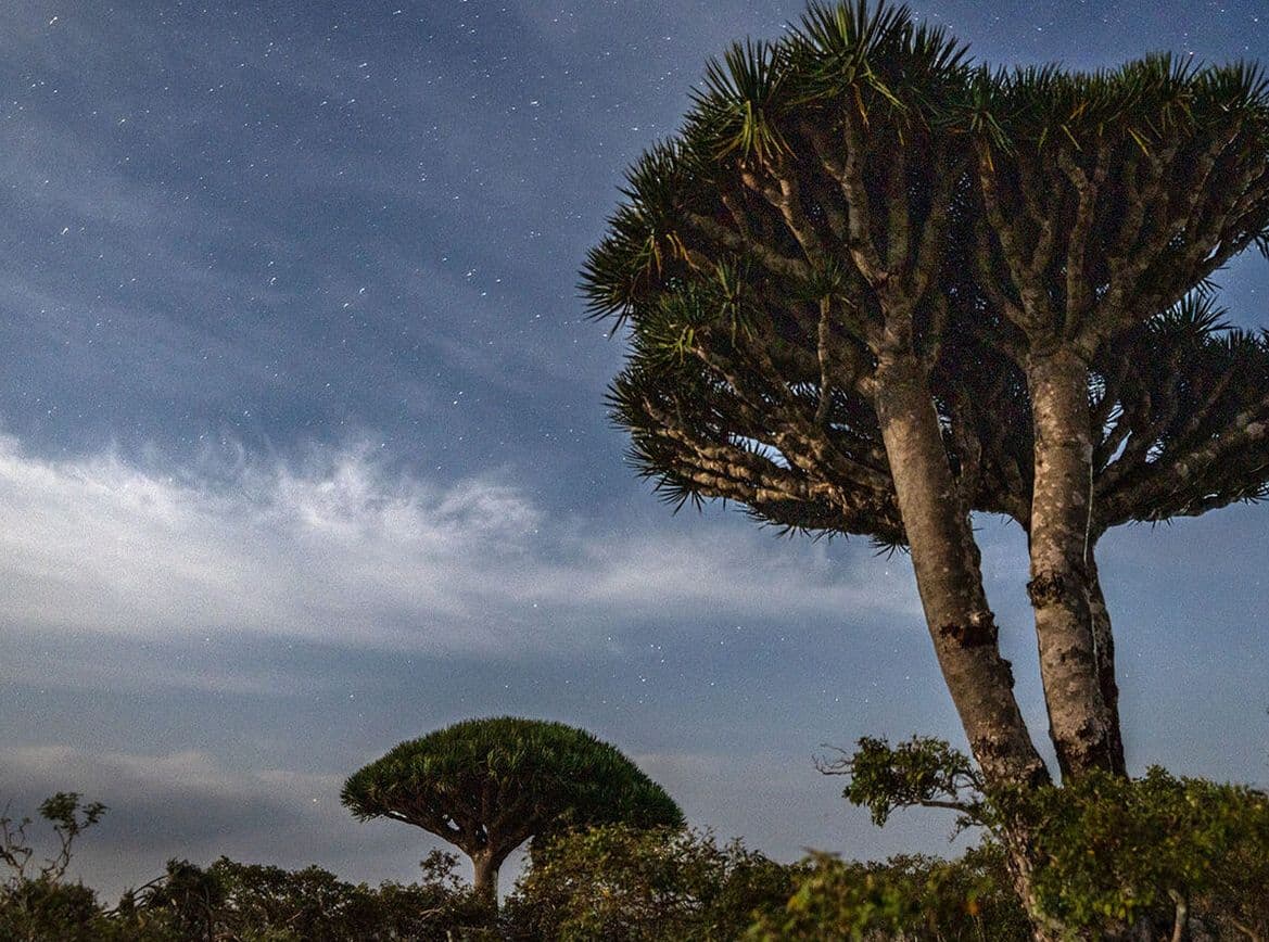 SZOKOTRA
24.03 - 31.03
31.03 - 07.04